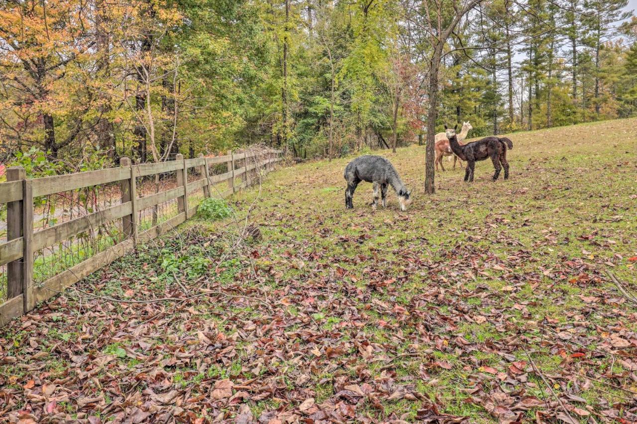 Rustic Hendersonville Farm Studio With Private Deck エクステリア 写真
