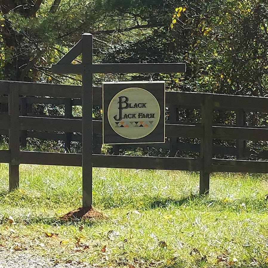 Rustic Hendersonville Farm Studio With Private Deck エクステリア 写真