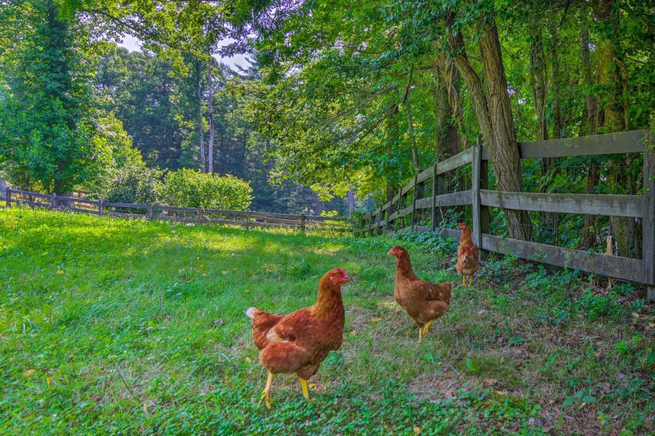 Rustic Hendersonville Farm Studio With Private Deck エクステリア 写真