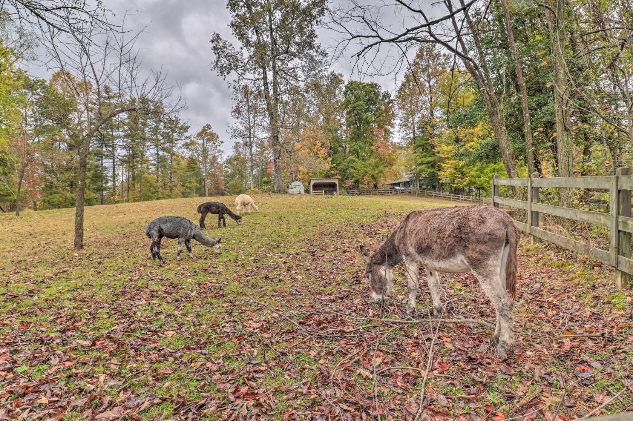 Rustic Hendersonville Farm Studio With Private Deck エクステリア 写真