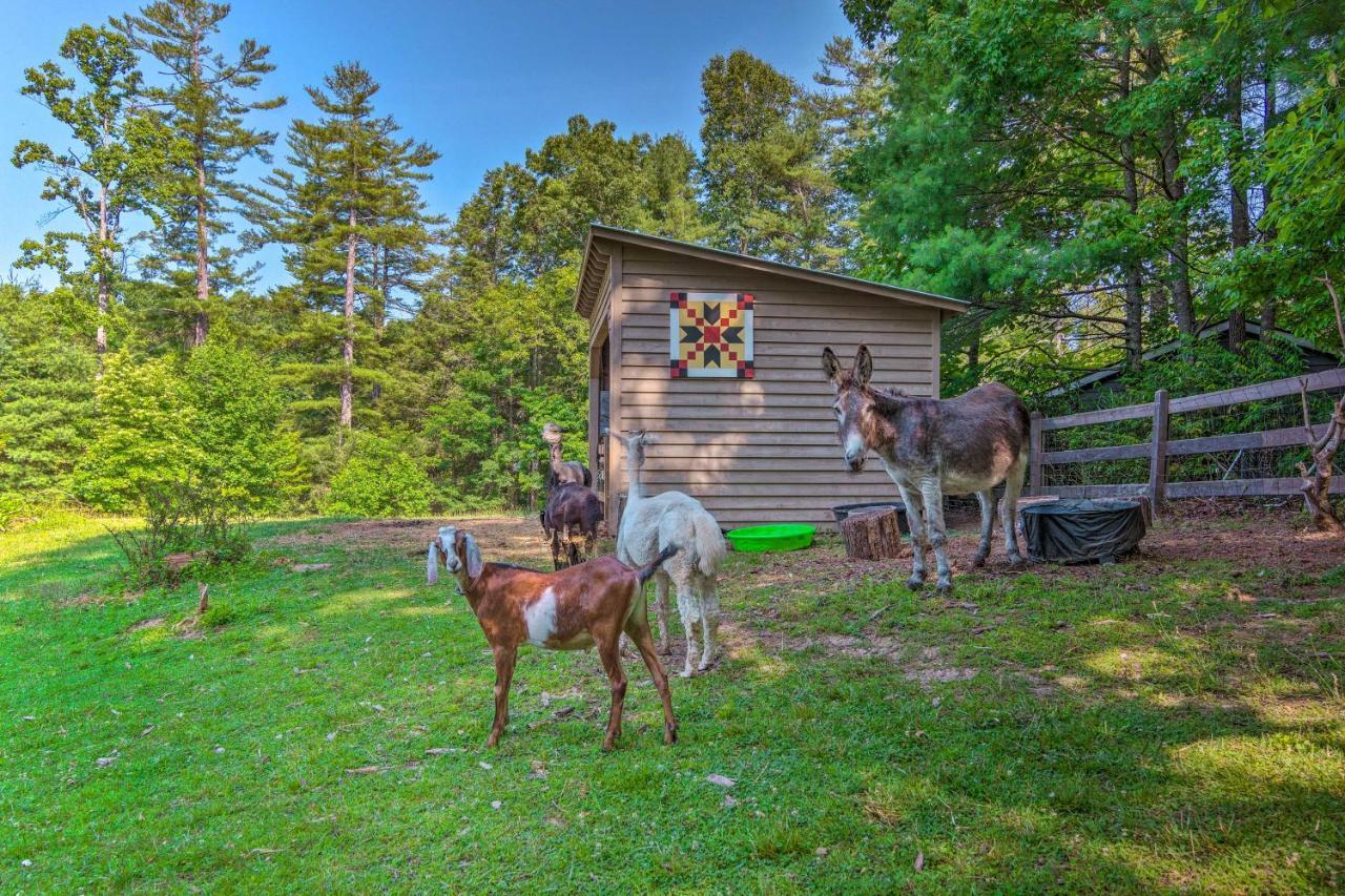 Rustic Hendersonville Farm Studio With Private Deck エクステリア 写真